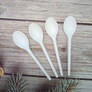 4.72" PLA Eco-friendly Disposable Sundae Spoons| Bulk Pack| White